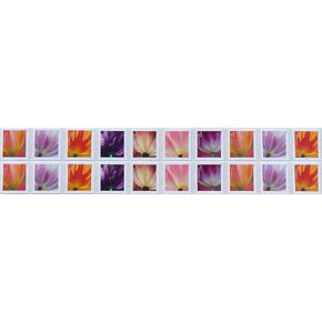 USPS 2023 Tulip Blossoms Forever First Class Postage Stamps (20 Count Strip)