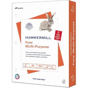 ورق طابعة Hammermill، ورق نسخ متعدد الأغراض بوزن 24 رطلاً، 8.5 × 14 - 1 رزمة (500 ورقة) - 96 ساطع، صنع في الولايات المتحدة الأمريكية، 101279R