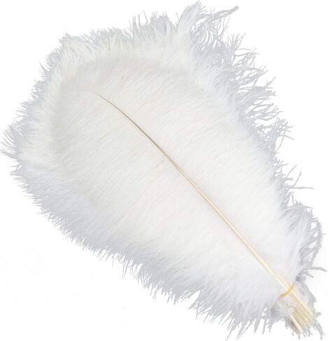 Sowder 5pcs Ostrich Feathers 16-18inch(40-45cm) Home Wedding Decoration (Gold) in Kuwait