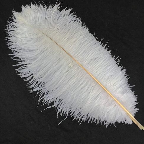 Sowder 5pcs Ostrich Feathers 16-18inch(40-45cm) Home Wedding Decoration (Gold) in Kuwait