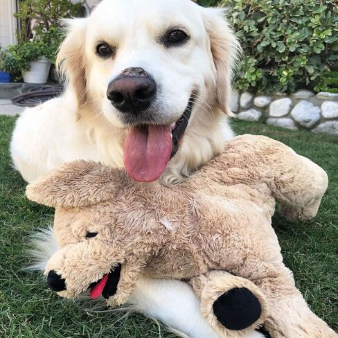 LotFancy Dog Stuffed Animals Plush, 21" Soft Cuddly Golden Retriever Plush Toys, Large Stuffed Dog, Puppy Dog Stuffed Animals, Mother's Day, Birthday, Easter Gift, for Kids, Pets, Girls in Saudi Arabia