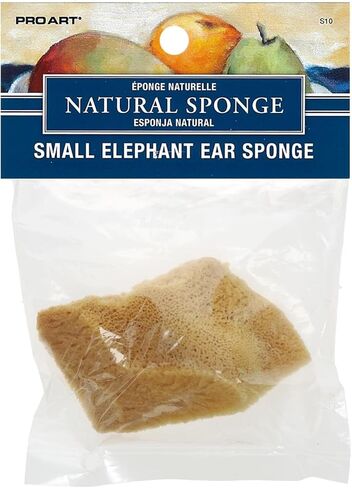 PRO ART Natural Sponge in Kuwait