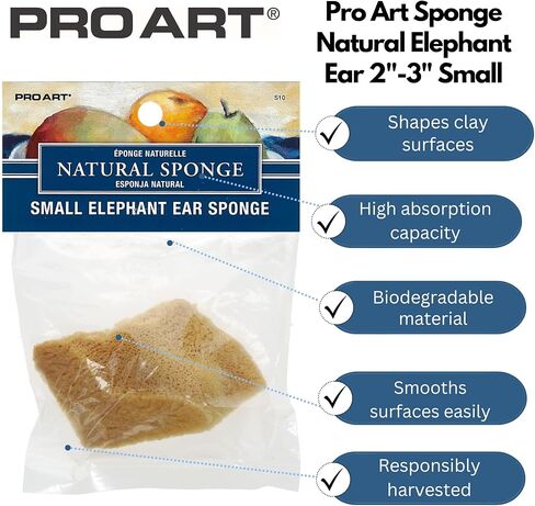 PRO ART Natural Sponge in Kuwait