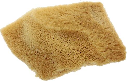PRO ART Natural Sponge in Kuwait