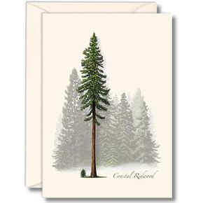 Earth Sky + Water - Coastal Redwood Notecard Set - 8 Blank Cards with Envelopes
