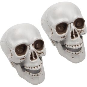 Needzo Realistic Plastic Skulls, Halloween Skeleton Head Decorations, Scary Tabletop Accessory, 3.75 Inches