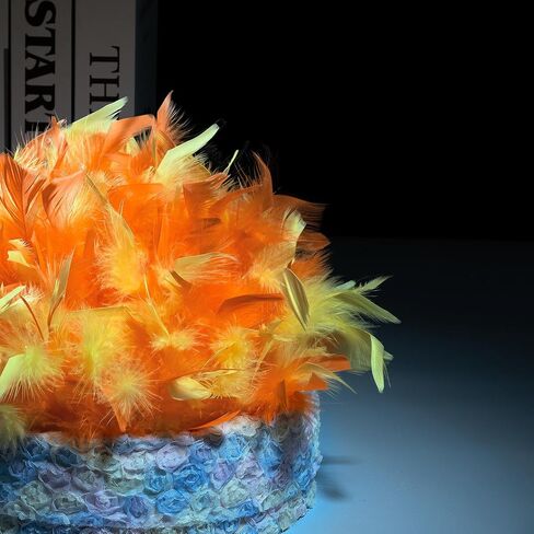 Multicolor Turkey Feather Trim Fringe for DIY Dress Skirt Crafts，Feathers Trim by The Yard Width 4-6 inches Costumes Decoration per Pack of 2 Yards(Orange+Yellow) in Saudi Arabia