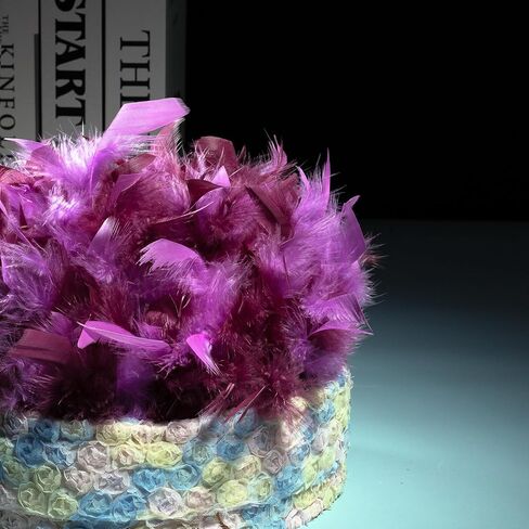 Multicolor Turkey Feather Trim Fringe for DIY Dress Skirt Crafts，Feathers Trim by The Yard Width 4-6 inches Costumes Decoration per Pack of 2 Yards(Orange+Yellow) in Kuwait