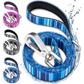 Waterproof Dog Leash 6ft | 100% Washable, Stink Proof, Odor Proof, Fade Proof, Dirt Proof | Soft Padded Handle, Easy Clean | Rust & Corrosion Resistant Zinc Alloy Clip & D-Ring | Black (1")