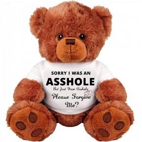 Sorry Forgive ME? : Apology Gift : Cute and Cuddly : Romantic Funny Teddy Bear Couple Gift : Medium Soft Teddy Bear Stuffed Animal