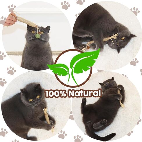 ألعاب القطط النعناع البري أعواد سيلفرفين للمضغ للقطط الداخلية. أسنان طحن السيزال الطبيعية للقطط لمطاردتها ولعب الألعاب التفاعلية، مواد آمنة وموثوقة، صديقة للقطط. قطعتان in Kuwait