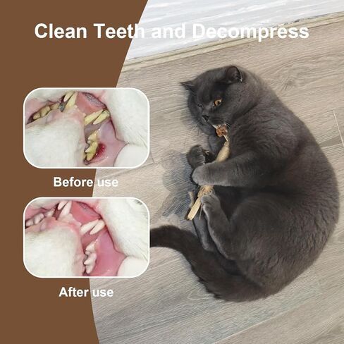 ألعاب القطط النعناع البري أعواد سيلفرفين للمضغ للقطط الداخلية. أسنان طحن السيزال الطبيعية للقطط لمطاردتها ولعب الألعاب التفاعلية، مواد آمنة وموثوقة، صديقة للقطط. قطعتان in Kuwait