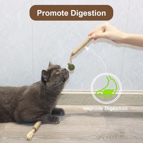 ألعاب القطط النعناع البري أعواد سيلفرفين للمضغ للقطط الداخلية. أسنان طحن السيزال الطبيعية للقطط لمطاردتها ولعب الألعاب التفاعلية، مواد آمنة وموثوقة، صديقة للقطط. قطعتان in Kuwait