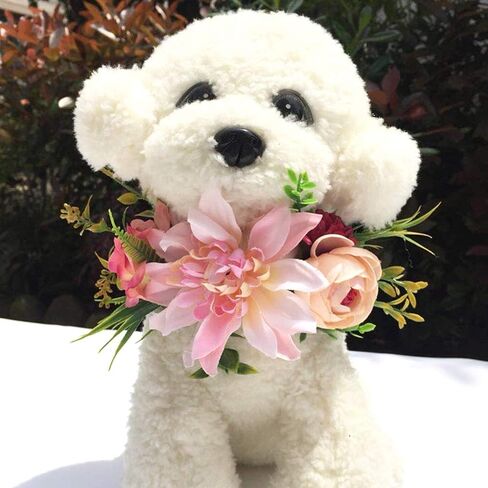 الكلب طوق زهرة الزفاف، الكلب زهرة عقال، الحيوانات الأليفة زهرة تاج أغطية الرأس، زهرة يترك اكليلا من الزهور الطبيعية لحفلات الزفاف زهرة الحيوانات الأليفة القطط والكلاب، الحيوانات الأليفة صور الدعامة in Kuwait