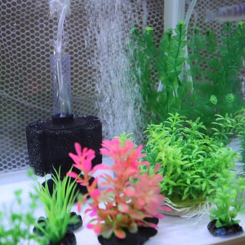 Sponge Filter Aquarium Filter Sponge Shrimp Betta Fry Fish Tank Air Filter in Kuwait