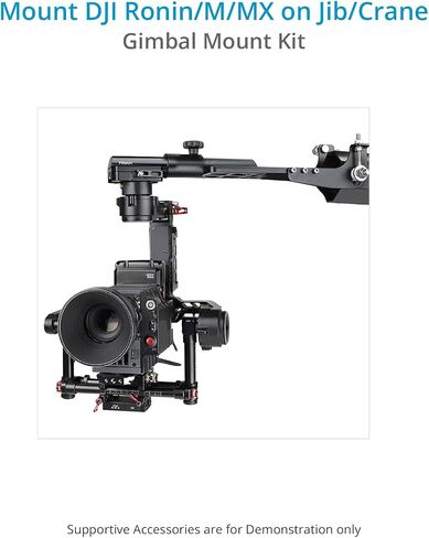 PROAIM Quick Release Gimbal Mount for DJI Ronin, Ronin M & Ronin MX. for Camera Jib Crane, Durable & Secure. with Multiple ¼" & 3/8" Accessory Threads. Tripod Compatible (RN-244-00) in Saudi Arabia