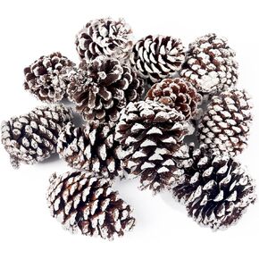 12 قطعة من مخاريط الصنوبر الثلجية الكبيرة من جوهاوس، أكواز صنوبر كبيرة لتزيين مخاريط الصنوبر الطبيعية لتزيين إكليل شجرة عيد الميلاد وحشو الأوعية والحرف اليدوية اليدوية in Kuwait