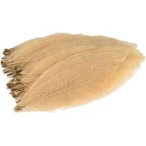 Skeleton Leaves 5 Inch 100 pcs Natural Rubber Leaves Flower Making Floral Scrapbook Craft Wedding Card