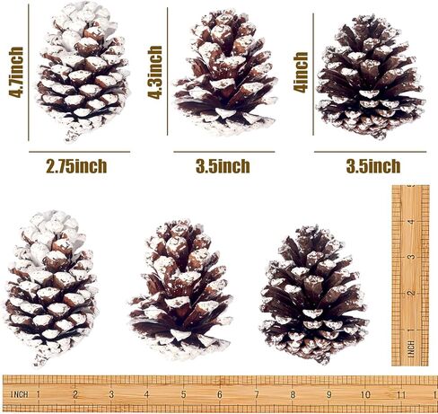 12 قطعة من مخاريط الصنوبر الثلجية الكبيرة من جوهاوس، أكواز صنوبر كبيرة لتزيين مخاريط الصنوبر الطبيعية لتزيين إكليل شجرة عيد الميلاد وحشو الأوعية والحرف اليدوية اليدوية in Kuwait