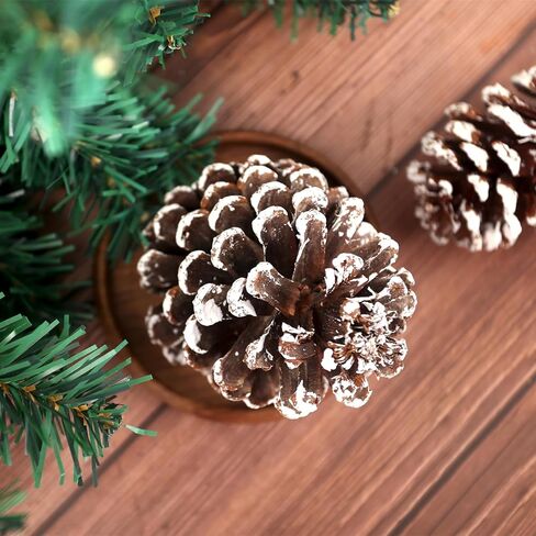 12 قطعة من مخاريط الصنوبر الثلجية الكبيرة من جوهاوس، أكواز صنوبر كبيرة لتزيين مخاريط الصنوبر الطبيعية لتزيين إكليل شجرة عيد الميلاد وحشو الأوعية والحرف اليدوية اليدوية in Kuwait