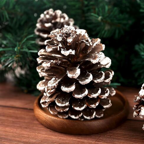 12 قطعة من مخاريط الصنوبر الثلجية الكبيرة من جوهاوس، أكواز صنوبر كبيرة لتزيين مخاريط الصنوبر الطبيعية لتزيين إكليل شجرة عيد الميلاد وحشو الأوعية والحرف اليدوية اليدوية in Kuwait