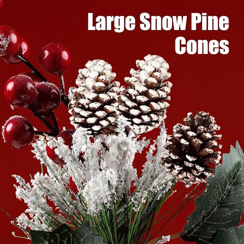 12 قطعة من مخاريط الصنوبر الثلجية الكبيرة من جوهاوس، أكواز صنوبر كبيرة لتزيين مخاريط الصنوبر الطبيعية لتزيين إكليل شجرة عيد الميلاد وحشو الأوعية والحرف اليدوية اليدوية in Kuwait