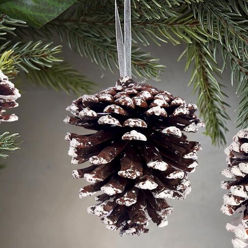 12 قطعة من مخاريط الصنوبر الثلجية الكبيرة من جوهاوس، أكواز صنوبر كبيرة لتزيين مخاريط الصنوبر الطبيعية لتزيين إكليل شجرة عيد الميلاد وحشو الأوعية والحرف اليدوية اليدوية in Kuwait