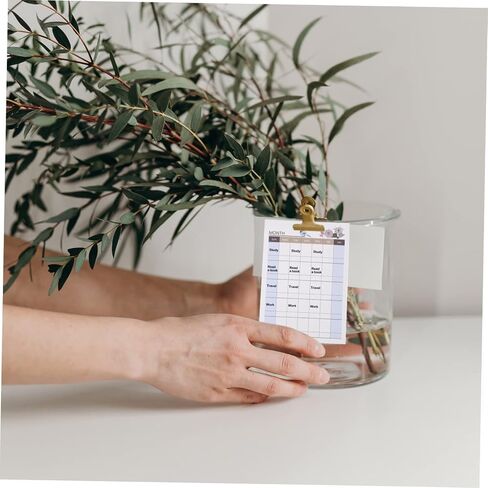 Ciieeo Habit 10 قطع مخطط دفتر ملاحظات ورقي دفاتر ملاحظات صغيرة جيب دفاتر ملاحظات أسبوعية تقويم شهري غير مؤرخ جدول مخطط دفاتر الملاحظات جدول دفاتر الملاحظات مخطط دفاتر الملاحظات اليومية in Saudi Arabia