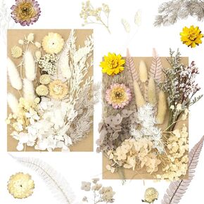2 Packs Real Dried Pressed Flowers, Dired Flowers for Crafts Resin Molds Candle Making Jewelry Making Art Craft DIY Mini Pampas Grass for Greeting Card Decoration,Vases Decoration.
