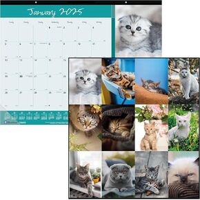 Blueline® 2025 Monthly Desk Pad Calendar, 12 Months, January to December, 22" x 17", Furry Collection (C194115-25)