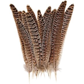 12pcs Natural Feathers Female Ringneck Pheasant Tails Feathers 8-10inch 20-25cm For Crafts Wedding Party Performance Home DIY Decoration,Female Pheasant Feathers