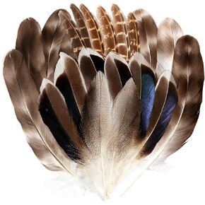 40pcs Natural Turkey Feathers,Pheasant Feathers,Duck Feathers,Spotted Feathers,4 Styles Feathers for DIY handicrafts,Such as Feather Masks, Dream Catchers，Feather Hats，Mardi Gras Decorations