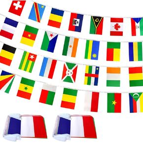 2 Packs 29 French Language Speaking Countries Flags Banner String,70 Feet 58 Flags