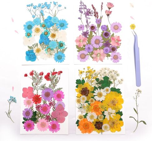112PCS Resin Dried Flower Embossed Flower, Natural Dried Flower Set DIY/ Scrapbook/Resin Jewelry Mold/Mobile Phone Case/Photo Frame DIY/ Flower Decoration/Nail Artdiy (B Combination) in Saudi Arabia