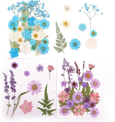 112PCS Resin Dried Flower Embossed Flower, Natural Dried Flower Set DIY/ Scrapbook/Resin Jewelry Mold/Mobile Phone Case/Photo Frame DIY/ Flower Decoration/Nail Artdiy (B Combination) in Saudi Arabia