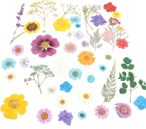 112PCS Resin Dried Flower Embossed Flower, Natural Dried Flower Set DIY/ Scrapbook/Resin Jewelry Mold/Mobile Phone Case/Photo Frame DIY/ Flower Decoration/Nail Artdiy (B Combination) in Saudi Arabia