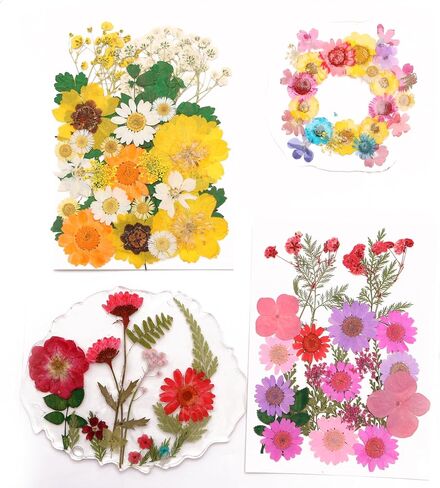 112PCS Resin Dried Flower Embossed Flower, Natural Dried Flower Set DIY/ Scrapbook/Resin Jewelry Mold/Mobile Phone Case/Photo Frame DIY/ Flower Decoration/Nail Artdiy (B Combination) in Saudi Arabia