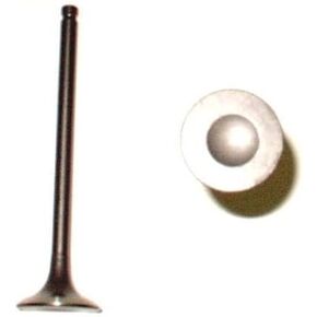 DNJ EV641 Exhaust Valve for 1995-2006 / Nissan / 200SX, Sentra / 1.6L, 1.8L / DOHC / L4 / 16V / 1809cc, 97cid / GA16DE, QG18DE