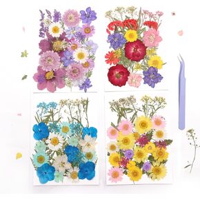 112PCS Resin Dried Flower Embossed Flower, Natural Dried Flower Set DIY/ Scrapbook/Resin Jewelry Mold/Mobile Phone Case/Photo Frame DIY/ Flower Decoration/Nail Artdiy (B Combination)