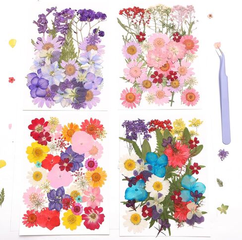 112PCS Resin Dried Flower Embossed Flower, Natural Dried Flower Set DIY/ Scrapbook/Resin Jewelry Mold/Mobile Phone Case/Photo Frame DIY/ Flower Decoration/Nail Artdiy (B Combination) in Saudi Arabia
