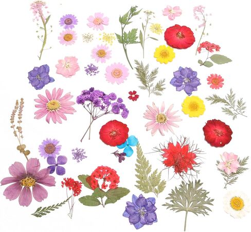 112PCS Resin Dried Flower Embossed Flower, Natural Dried Flower Set DIY/ Scrapbook/Resin Jewelry Mold/Mobile Phone Case/Photo Frame DIY/ Flower Decoration/Nail Artdiy (B Combination) in Saudi Arabia
