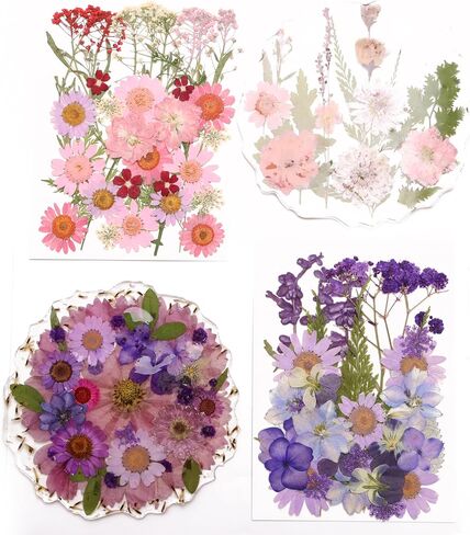 112PCS Resin Dried Flower Embossed Flower, Natural Dried Flower Set DIY/ Scrapbook/Resin Jewelry Mold/Mobile Phone Case/Photo Frame DIY/ Flower Decoration/Nail Artdiy (B Combination) in Saudi Arabia