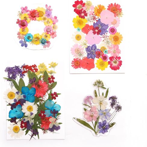 112PCS Resin Dried Flower Embossed Flower, Natural Dried Flower Set DIY/ Scrapbook/Resin Jewelry Mold/Mobile Phone Case/Photo Frame DIY/ Flower Decoration/Nail Artdiy (B Combination) in Saudi Arabia
