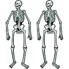 Jointed Skeletons - 22"