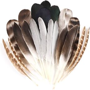 MAOFENG 20pcs Natural Pheasant Feathers Bulk 5 Styles Mixed Feathers Spotted Feathers for Craft DIY Wedding Home Hat Floral Arrangements Holiday Decorations