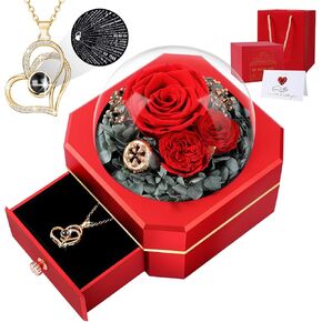Preserved Real Rose Gifts for Women Mom Wife,Eternal Flowers Rose with I Love You Necklace in 100 Languages,Gifts for her on Christmas Birthday Anniversary Valentine's Day Mother's Day (Red)