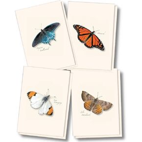 Earth Sky + Water - Western Butterfly Assortment II Notecard Set - 8 Blank Cards with Envelopes (2 each of 4 styles)