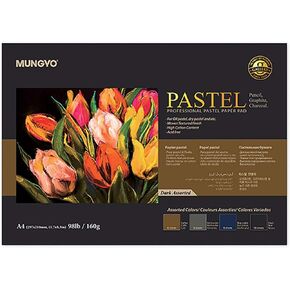 MUNGYO Professional Pastel Paper Pad. A4 Size Oil Pastel Paper, 30 Sheets (Assorted Dark Color), Drawing Board, Artist Paper, Art & Crafts, Hobby