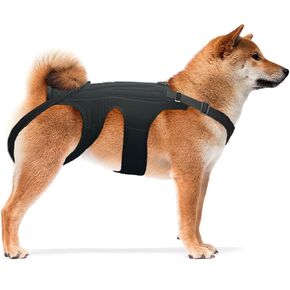 NeoAlly Dog Back Brace for Dogs Arthritis, IVDD, Spinal Surgical Recovery, and Back Disease Prevention (Small)