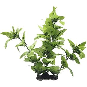 Fluval Lizard's Tail Plant for Aquarium, 16-Inch